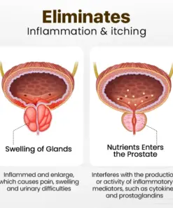 TAILEDEN™ Prostate Massage Bee Wellness Inhaler