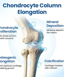 TAILEDEN® GH-Support Height Spray