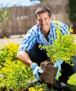 TAILEDEN®Soil Pro Activator